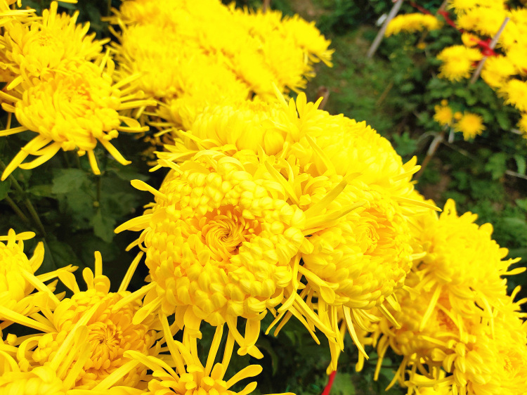IMG20201102102257_副本.jpg