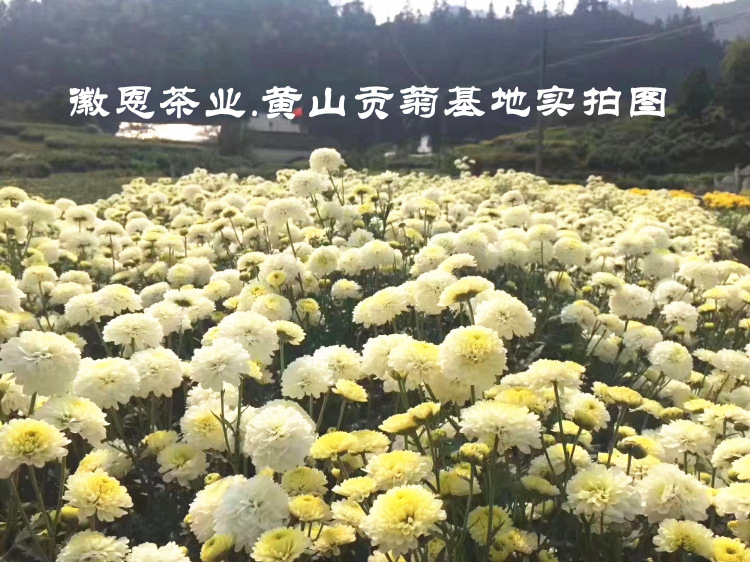 IMG20200228135511_副本_副本.jpg