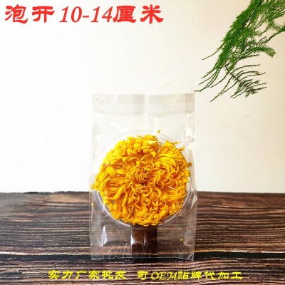 新金丝皇菊基地批发 贡菊一大朵一杯花草茶泡开10-14厘米独立朵菊