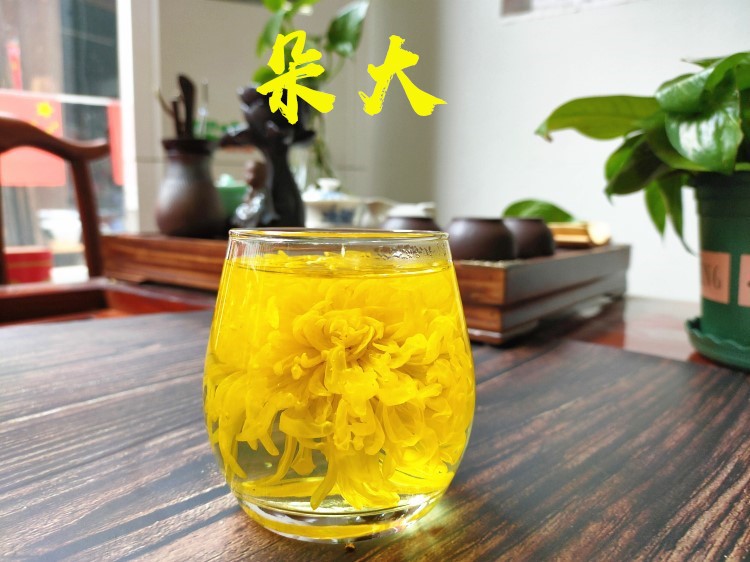 大朵金丝