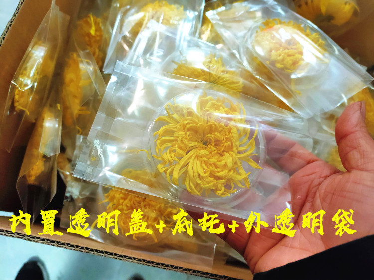 大朵金丝