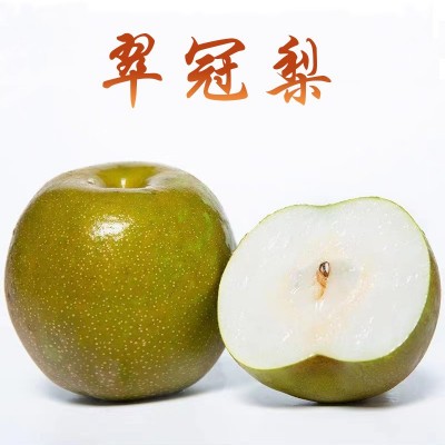 湖北翠冠梨新鲜应季水果脆甜多汁酥梨非砀山梨子批发一件代发