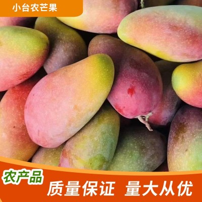 零售台农芒果海南小台芒新鲜芒果台农直发芒果应当季水果现摘热带