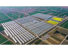 中国设施农业面积占世界80%以上