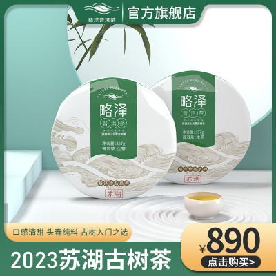 2023苏湖古树茶 适合日常品饮 高山云雾茶 茶树成片