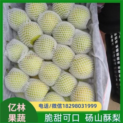 砀.山酥梨 今日价.格 产地行情 批发行情 产地代办