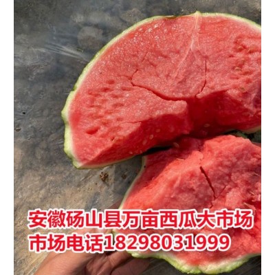 产地种植 新鲜美都西瓜 甜而多汁 耐储运 全国各地代发