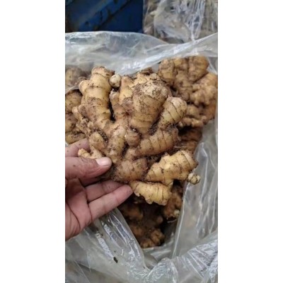 鲜姜 水洗姜 肉质嫩纤维细 储存时间长 福满家种植基地