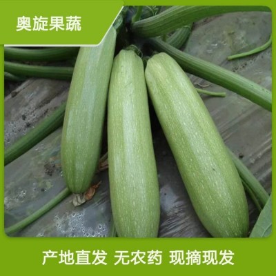 精品绿皮西葫芦_对接商超_货源充足