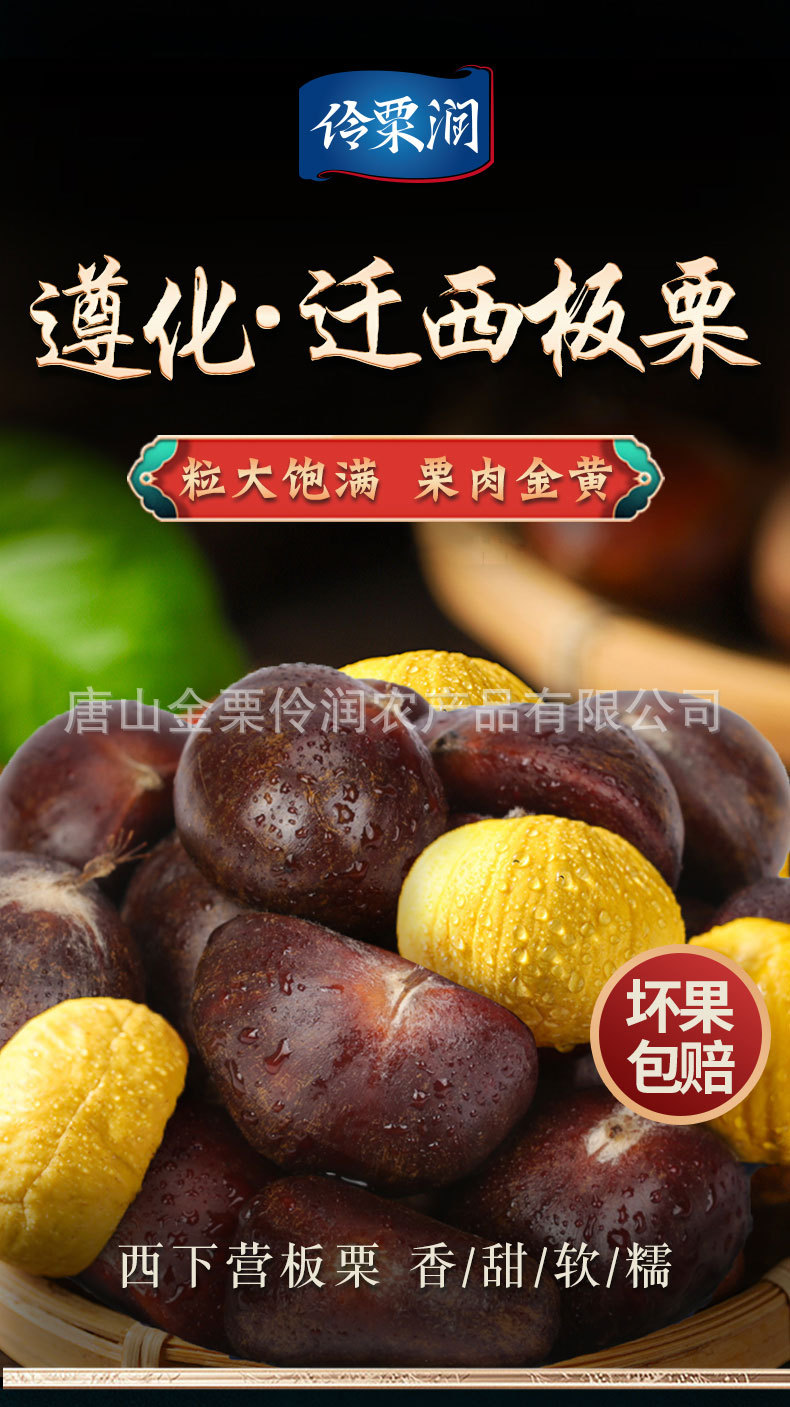 板栗详情_01.jpg