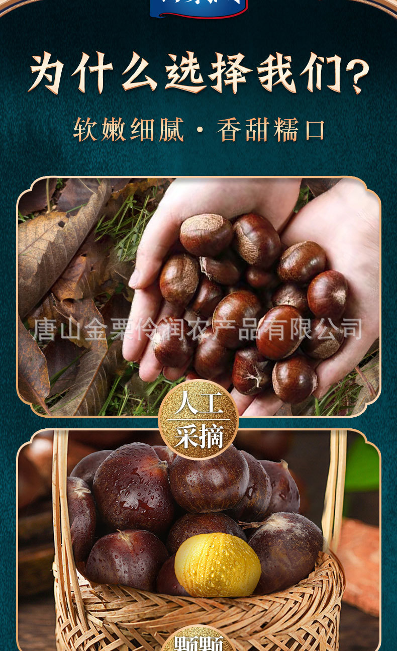 板栗详情_07.jpg