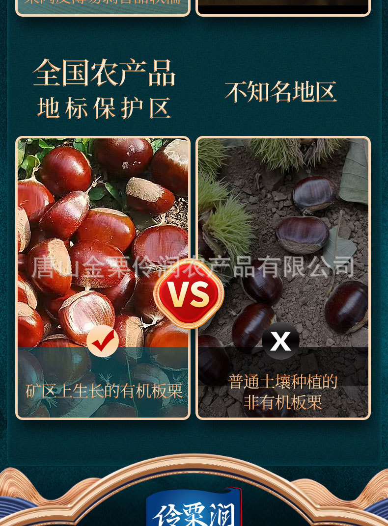 板栗详情_06.jpg