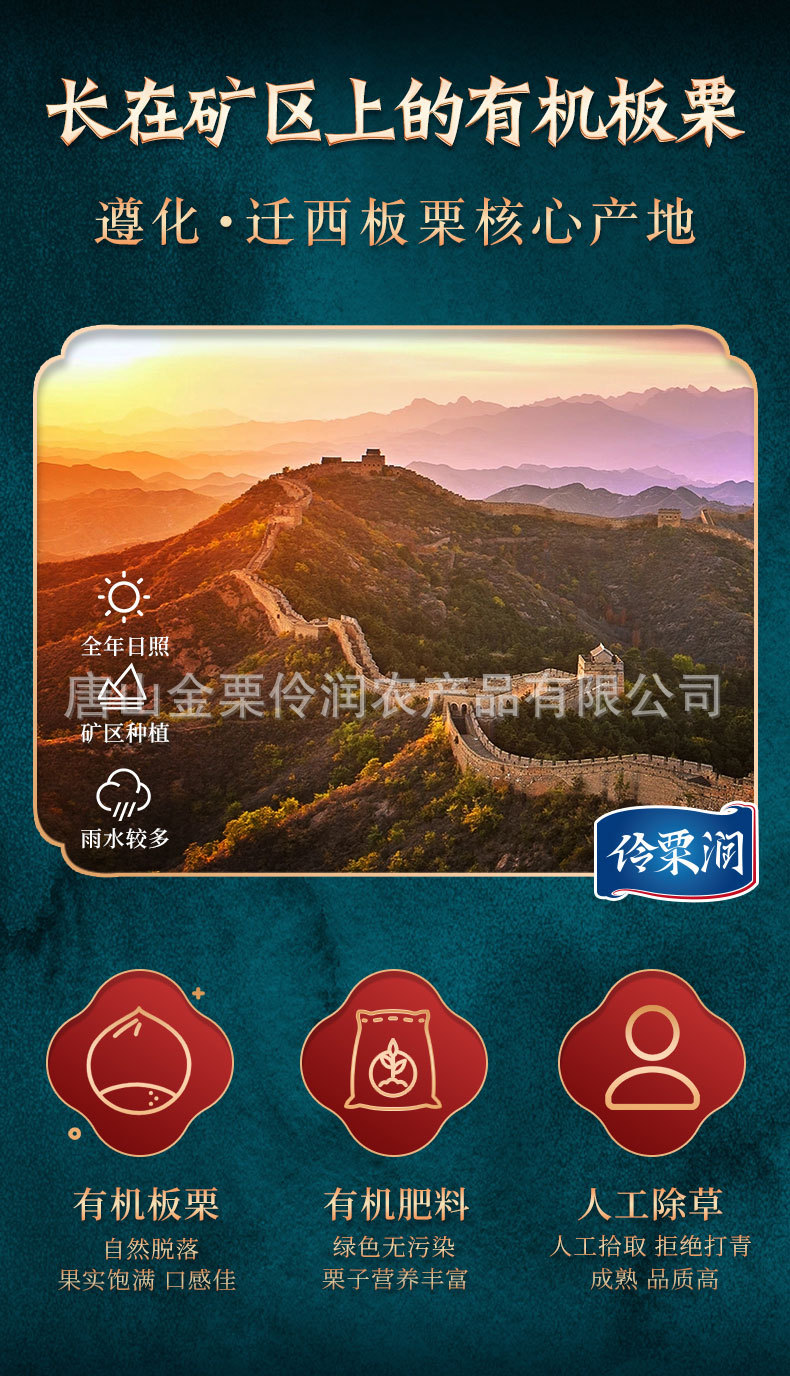 板栗详情_02.jpg