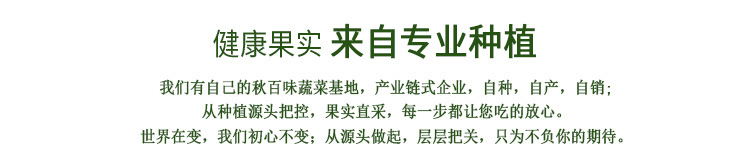 san包装脆(什锦蔬菜脆片)_15.jpg