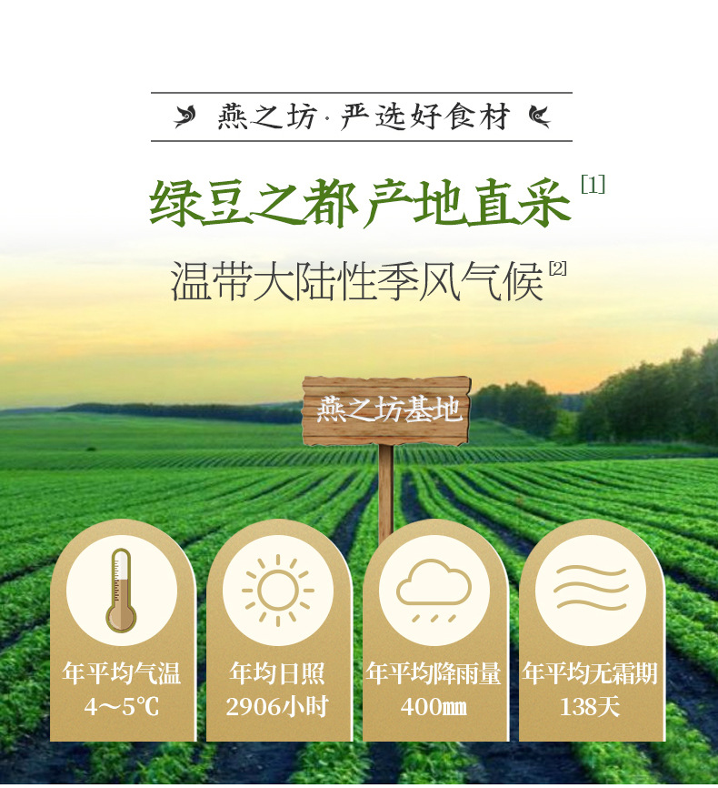 绿豆1kg六面体_03.jpg