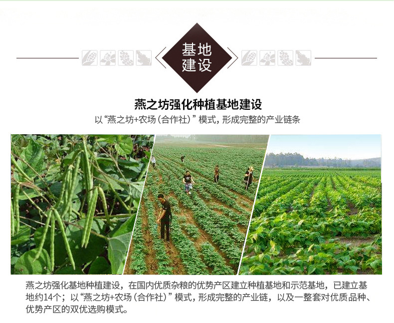 绿豆1kg六面体_18.jpg