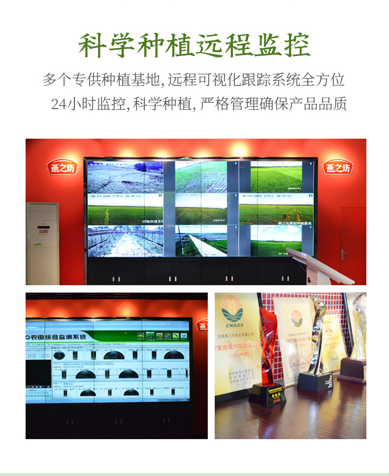 绿豆1kg六面体_04.jpg