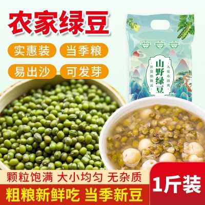 山野源粮绿豆 新鲜农家绿豆 粮油颗粒饱满肉多皮薄500g绿豆