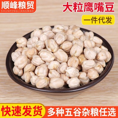 大粒鹰嘴豆现货批发 天麻子天山奇籽鹰嘴豆 五谷杂粮粗粮散装