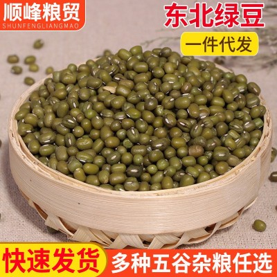 明绿豆现货供应 农家自产五谷杂粮易熟易煮 散装粗粮油绿豆