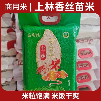 开店饭堂食堂酒店外卖商用米煲仔饭米南方广西上林香丝苗大米5kg