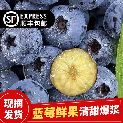 丹东99草莓顺丰一件包邮生鲜水果新鲜红颜现摘应季大草莓产地送礼