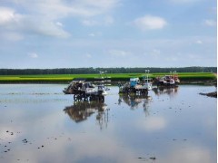“智”造现代农业风景线