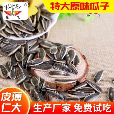 厂家供应原味瓜子葵花籽 口感酥香皮薄葵花子 大本味葵瓜子批发