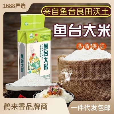 鱼台大米粳米500克批发零售500克散货新货农家量大从优真空包装