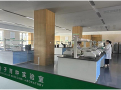 高质量发展调研行丨从一粒种到一盘菜 寿光以“中国芯”促进农业高质量发展