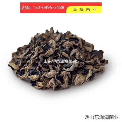 食用菌黑木耳高温低温菌种原种母种生产种出菇菌包
