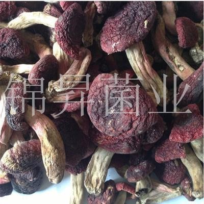 云南干货红菇 红菇价格 野生干货红菇 产地直销