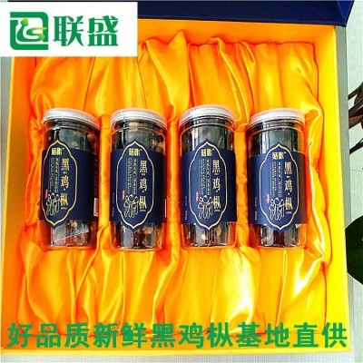 山东载培菌棒黑皮鸡纵基地 栽培技术干鲜鸡枞菌厂家