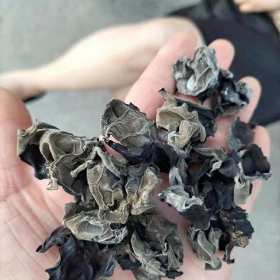 东北黑木耳木耳 泡发率高 土特产自产自销 电商供应基地