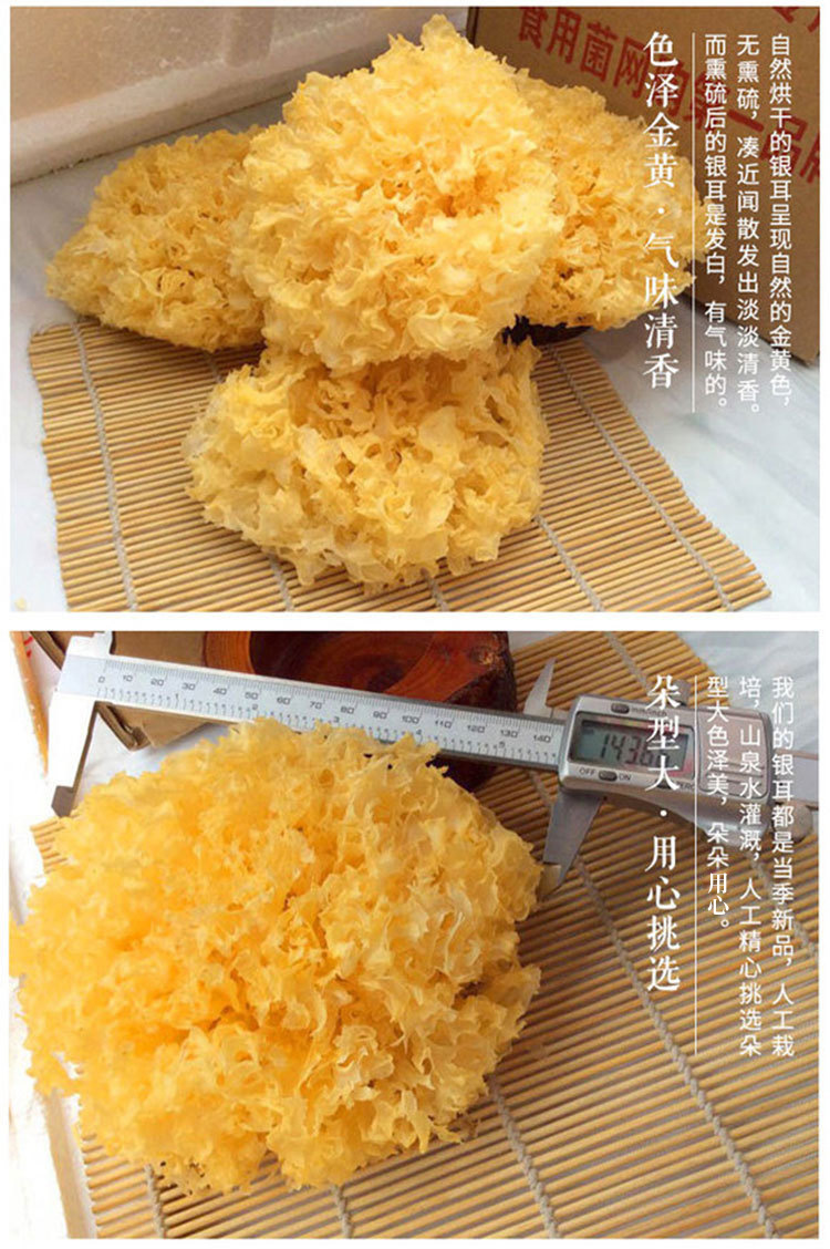 银耳改2