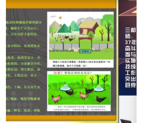 林下生态鸡养殖技术