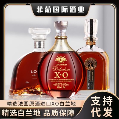 包邮法国进口洋酒路易系列礼盒装XO白兰地整箱装批发酒吧一件代发