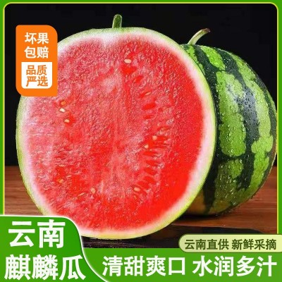 麒麟大西瓜薄皮夏邑8424冰糖孕妇当季新鲜水果现摘现发甜整箱