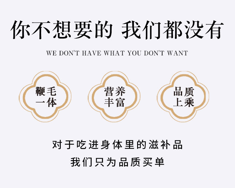 鹿鞭_05.jpg