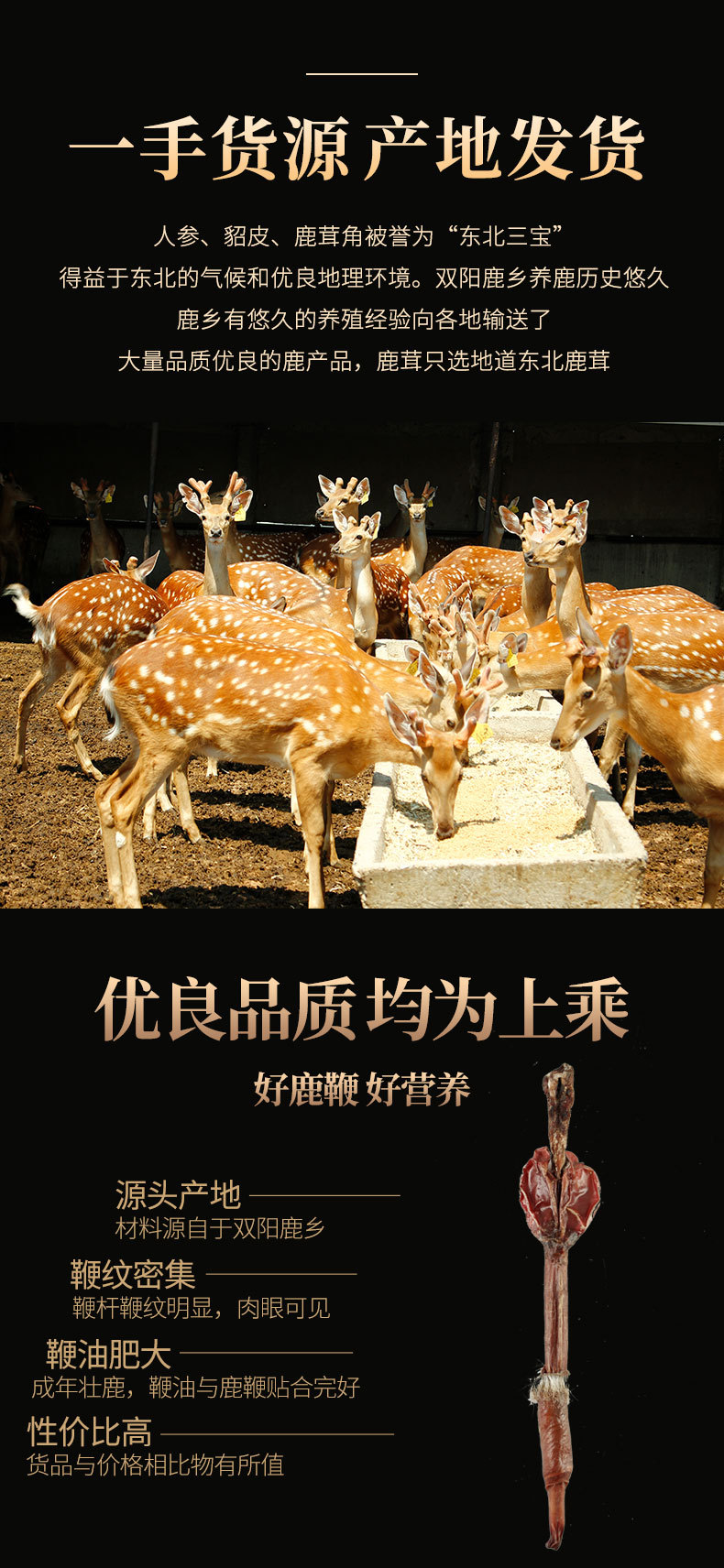 鹿鞭_03.jpg