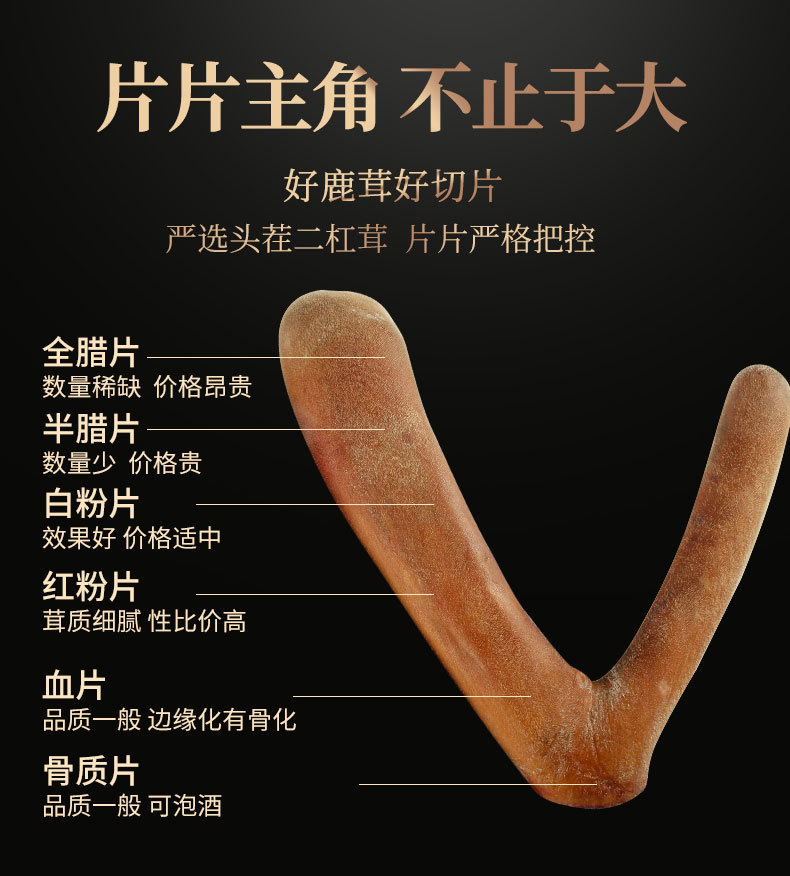 干鹿茸_03.jpg