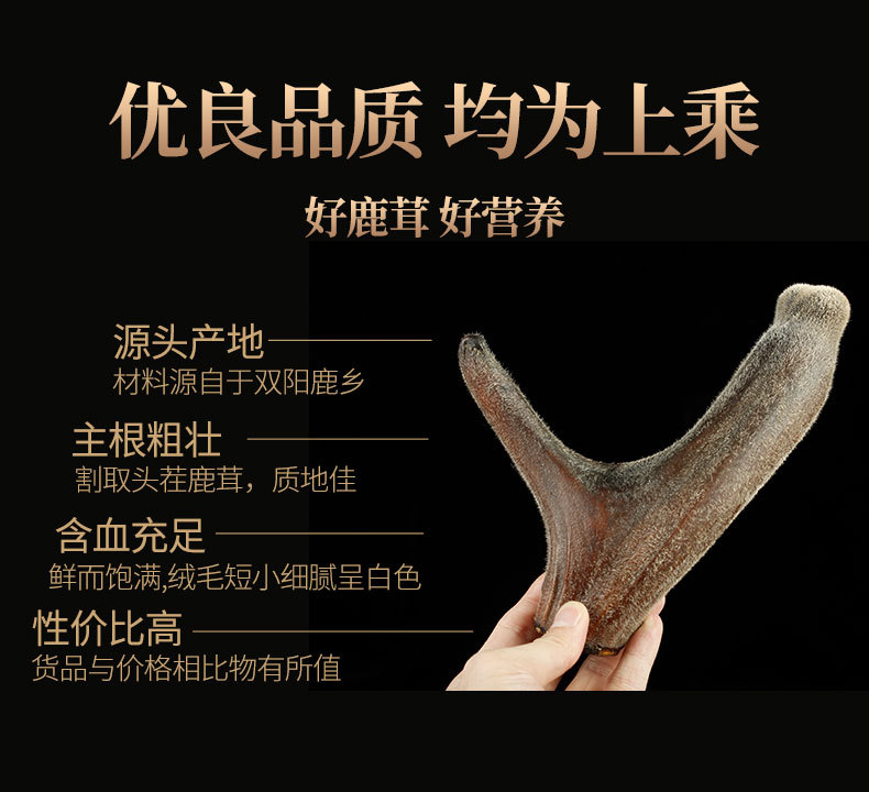 干鹿茸_05.jpg
