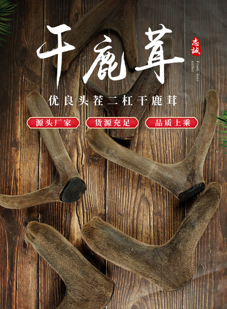 干鹿茸_01.jpg