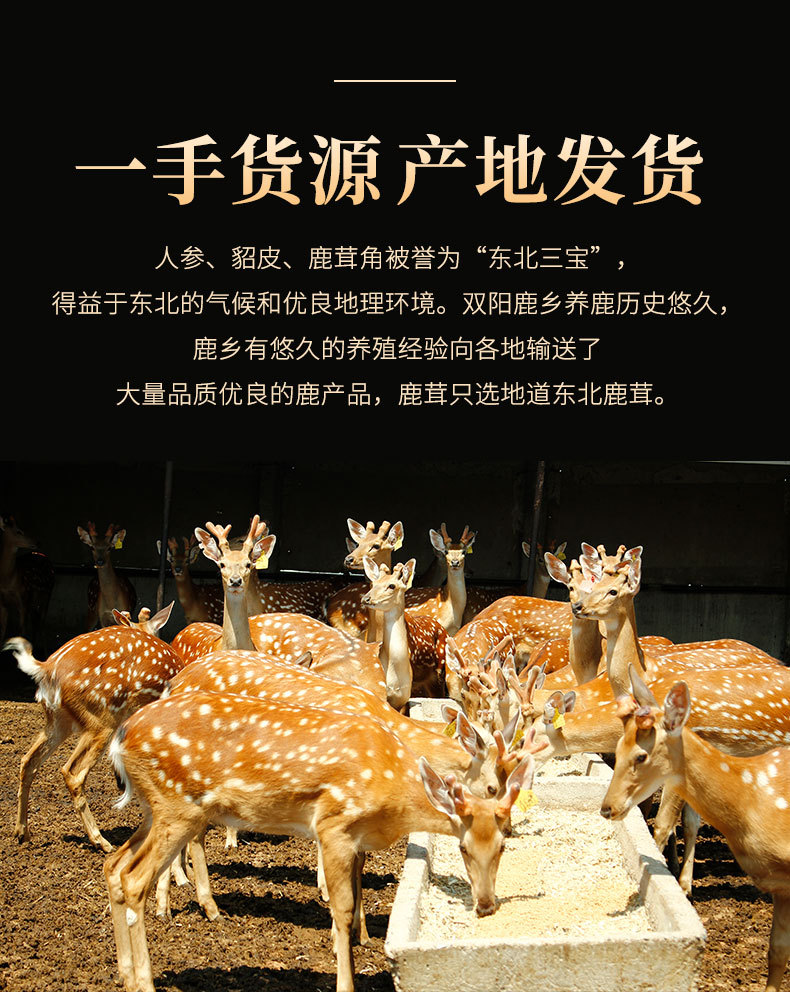 干鹿茸_04.jpg