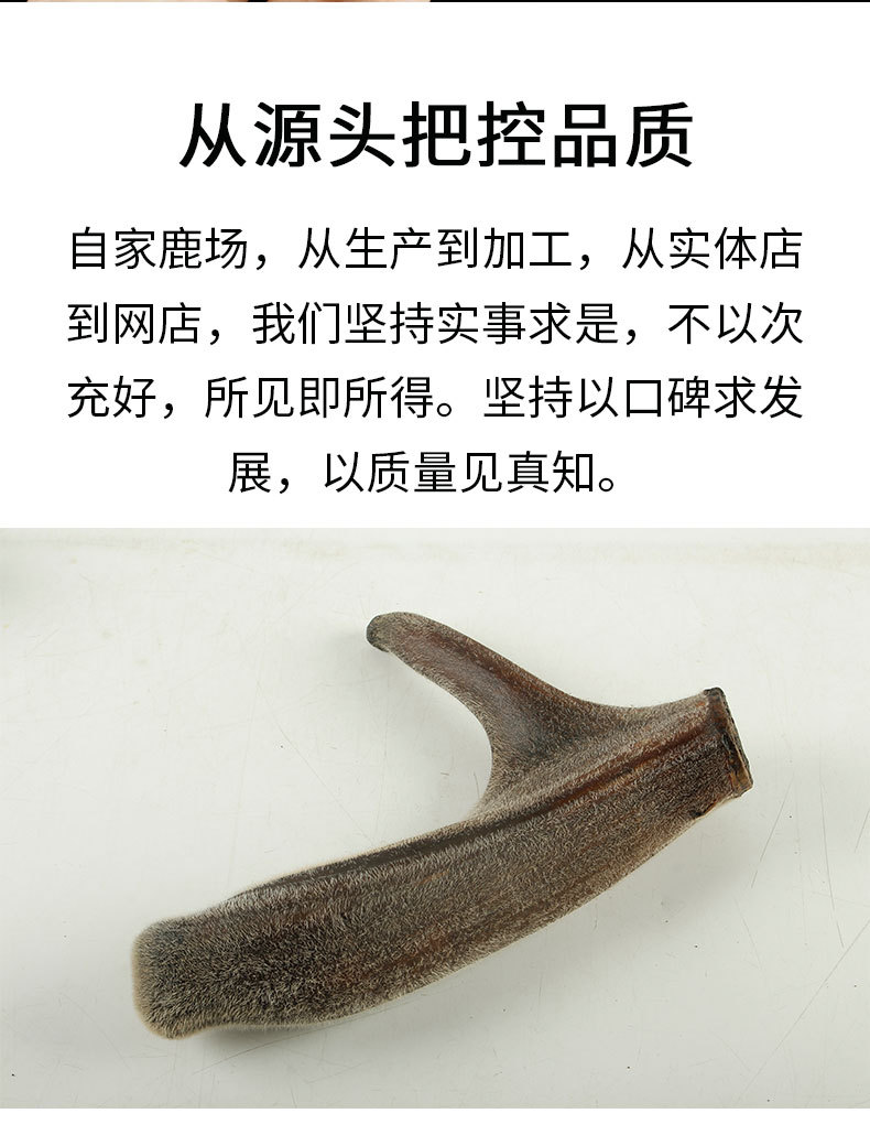干鹿茸_12.jpg