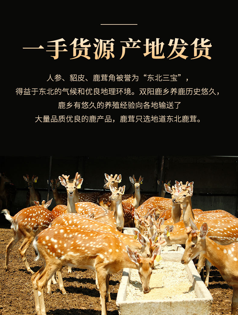 干鹿尾_03.jpg