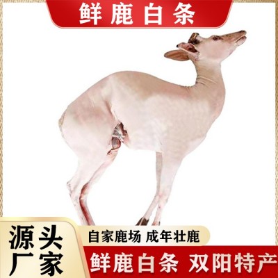 鹿白条吉林鹿乡整支包装鲜鹿肉厂家批发鹿腿肉鹿排鹿里脊量大从优