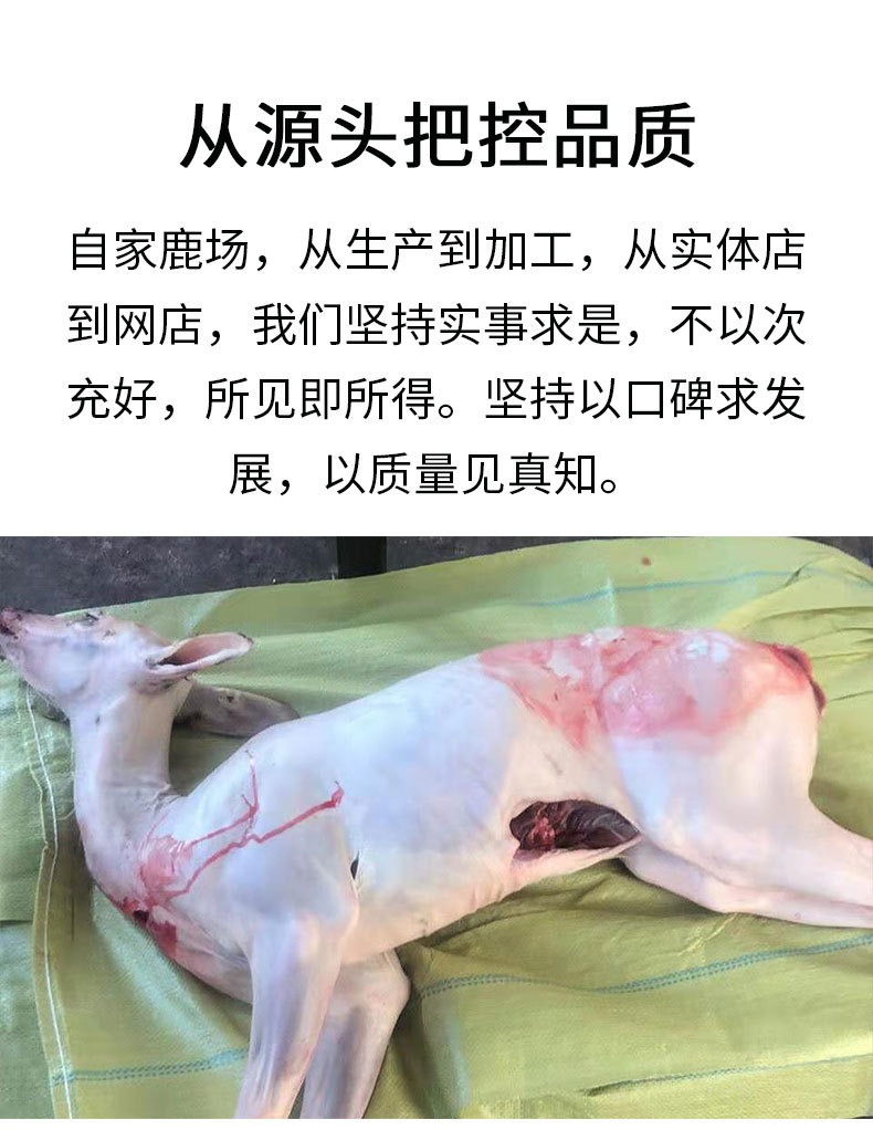 鹿白条_09.jpg