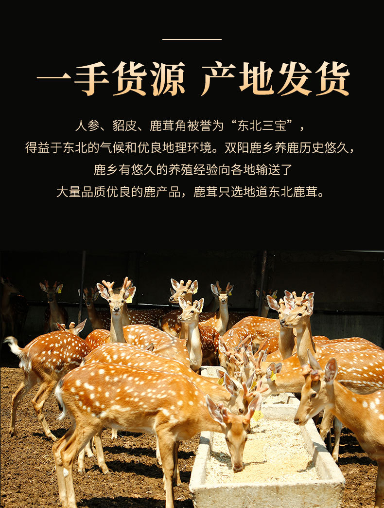 鹿白条_03.jpg