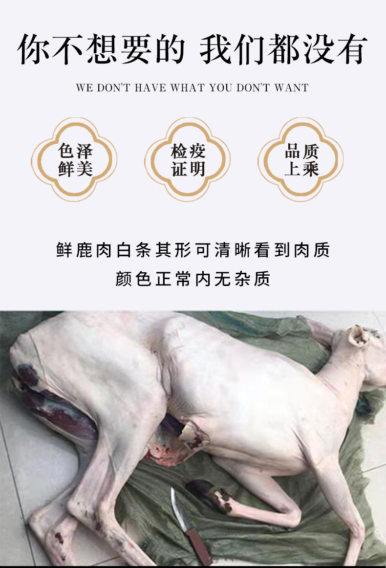 鹿白条_07.jpg